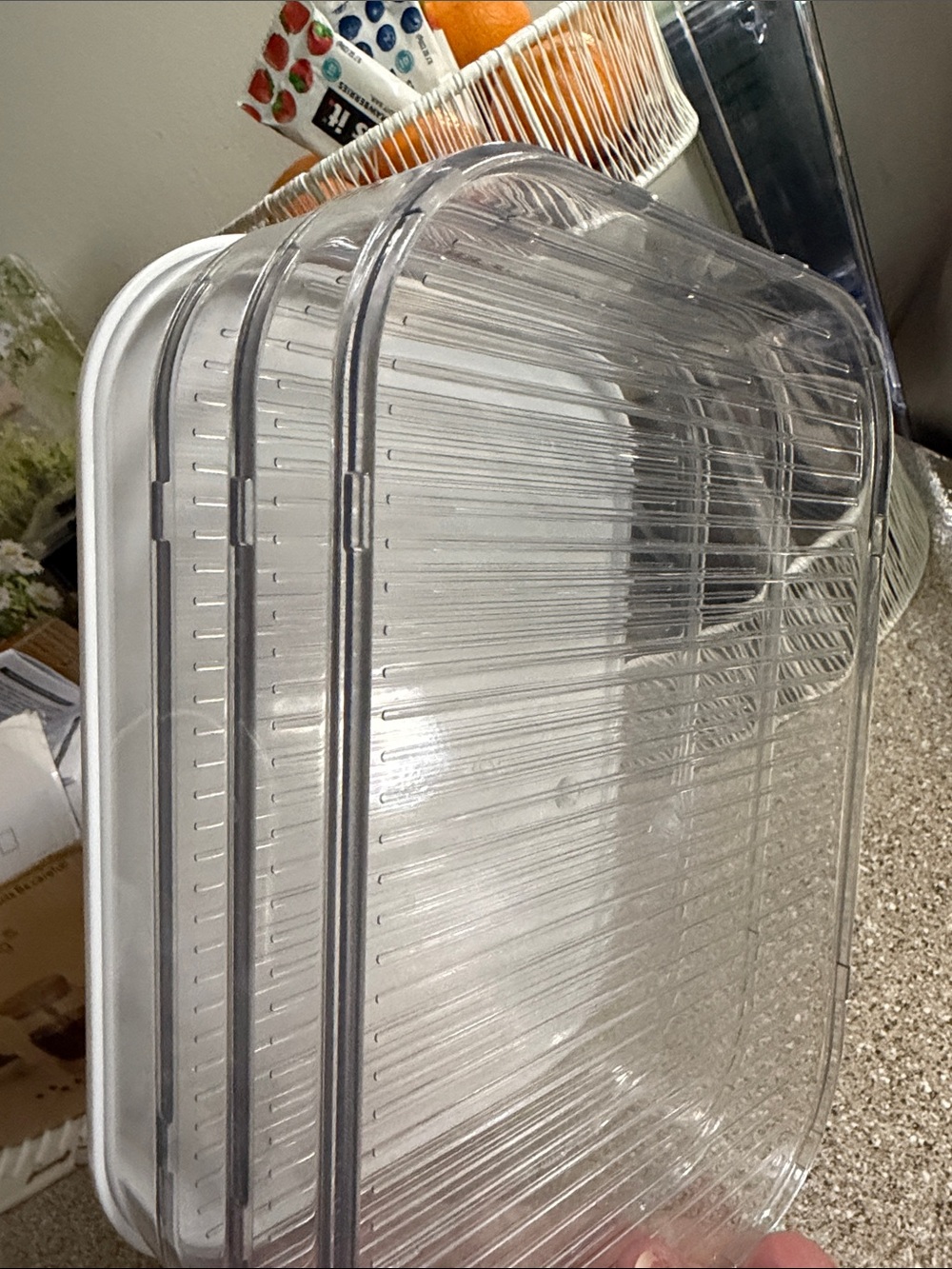 Transparent Food Storage Box - Picture 5 of 9